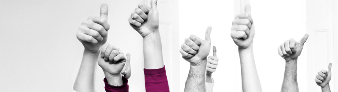 Behalen ISO certificaten Bio-Connect